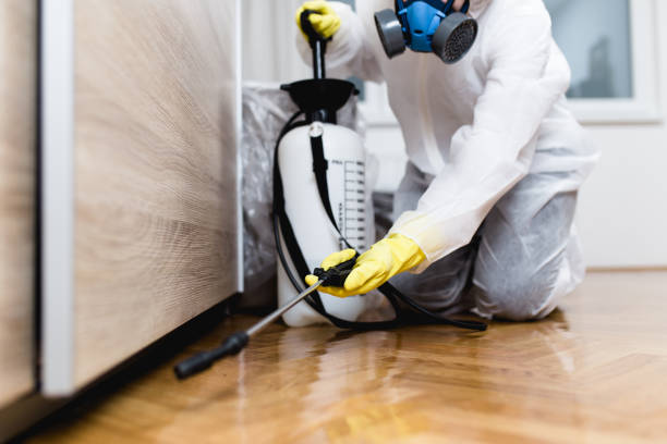 Best Mosquito Control Services  in Pueblo West, CO