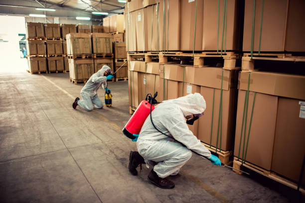 Best Local Pest Control Services  in Pueblo West, CO