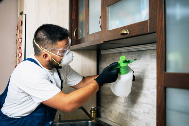 Best Affordable Pest Control Services  in Pueblo West, CO