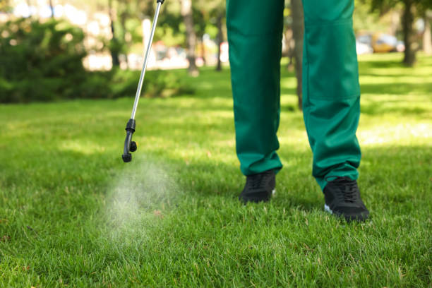 Best Affordable Pest Control Services  in Pueblo West, CO