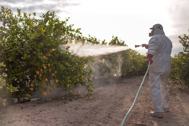 Best Wildlife Control Services  in Pueblo West, CO