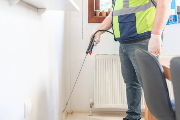 Best Rat Extermination Near Me  in Pueblo West, CO