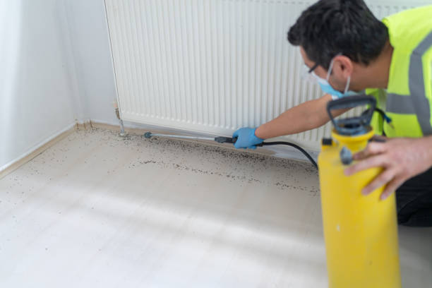Best Local Pest Control Services  in Pueblo West, CO